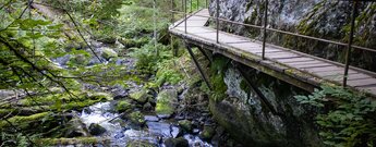 Wanderweg über Holzstege durch die Ravennaschlucht