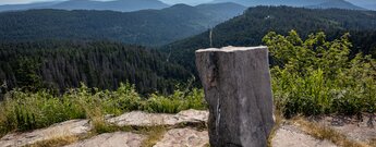 Ausblick von der Hornisgrinde über bewaldete Täler und Hügel des Schwarzwalds