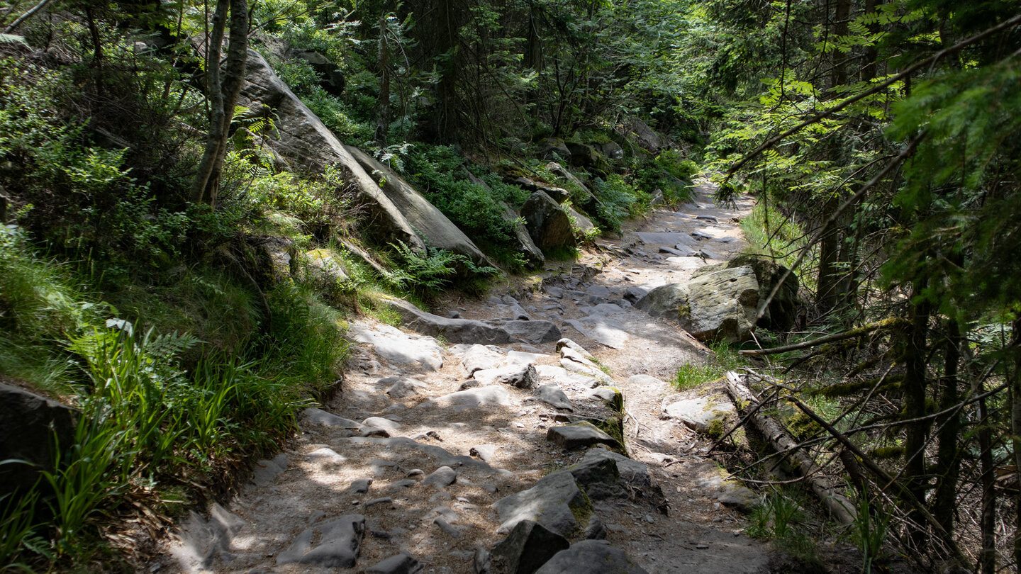 Wanderweg zwischen Hornisgrinde und Mummelsee Wanderweg zwischen Hornisgrinde und Mummelsee
