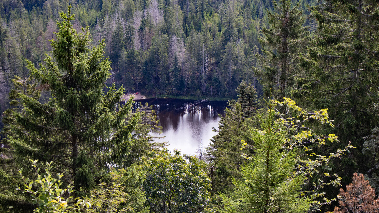 der Wildsee-Blick