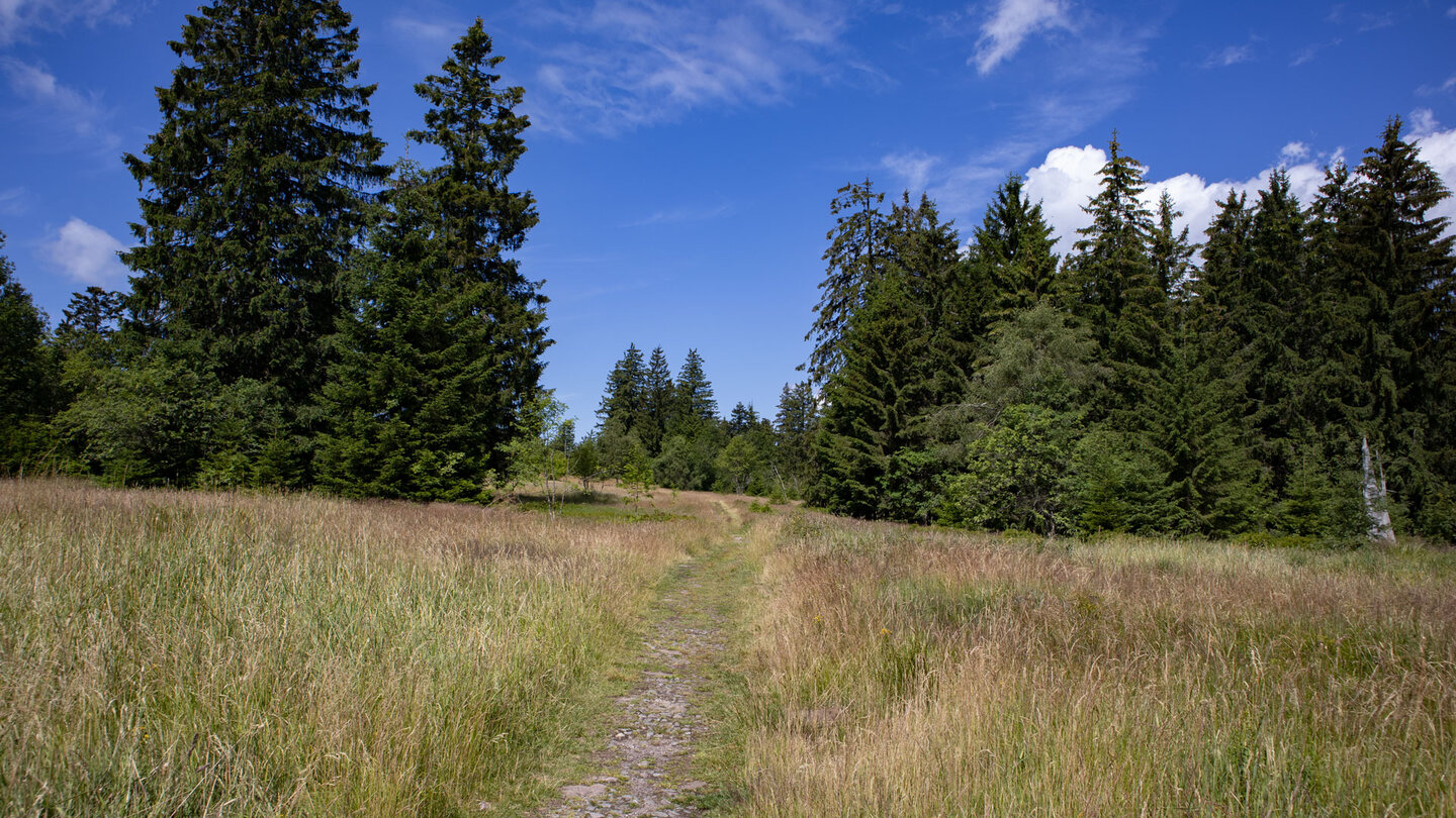 Wegabschnitt durch Wiesenlandschaft nahe Zuflucht