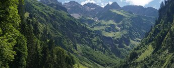 Allgäuer Hauptkamm aus dem Stillachtal