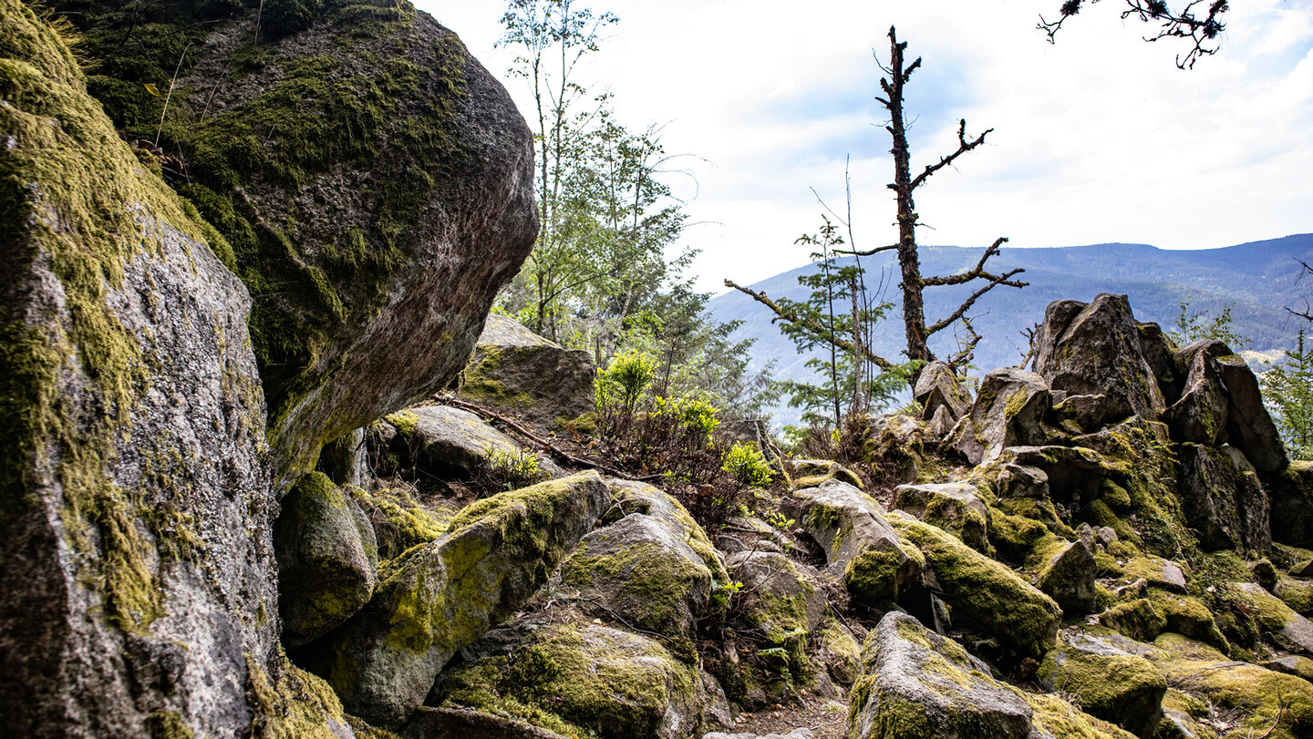 Felsformationen der Latschigfelsen