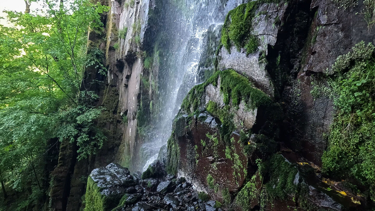 Moospolster am Wasserfall Cascade du Nideck