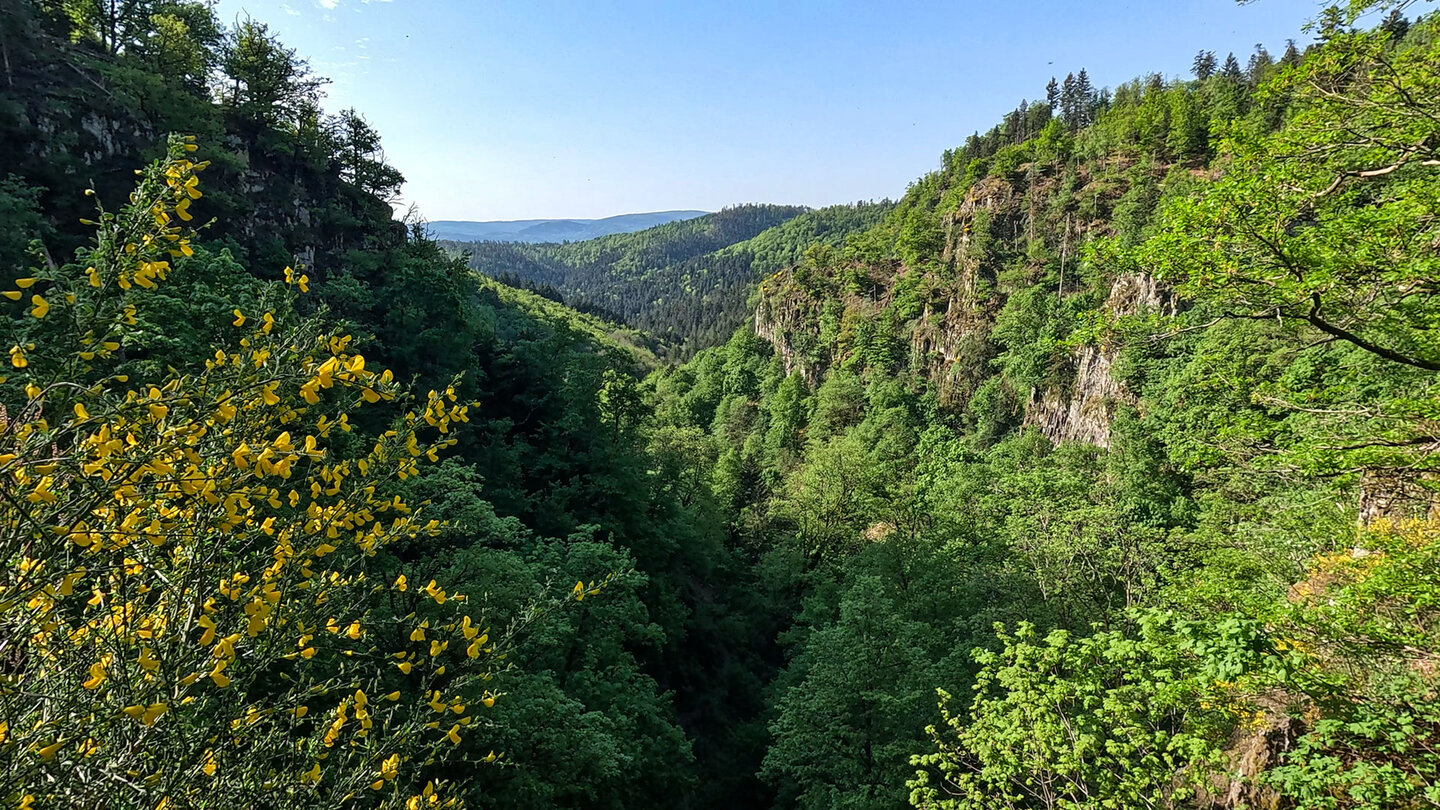 tief eingeschnittenes Tal am Wasserfall Cascade du Nideck