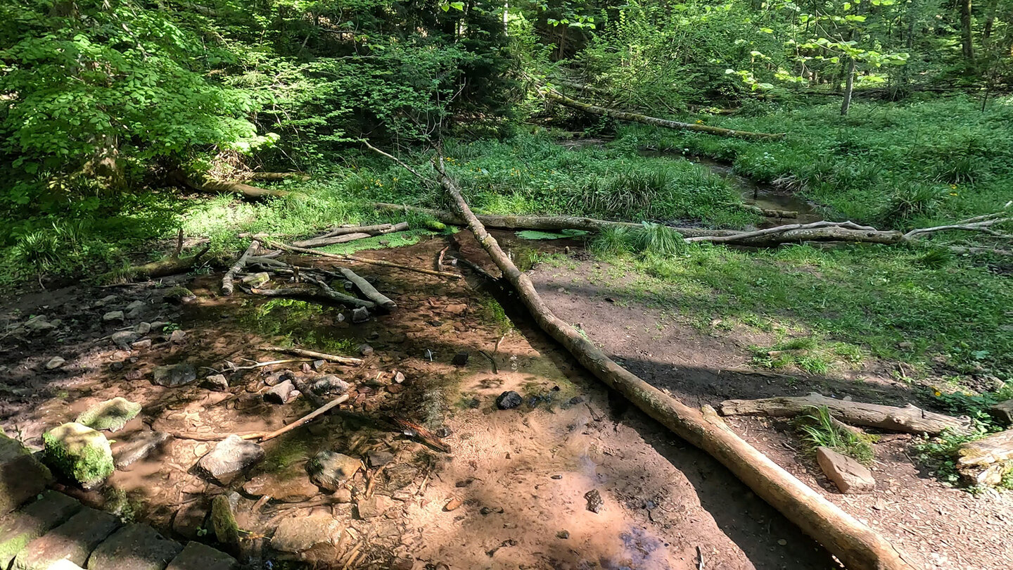Bachquerung am Wanderweg