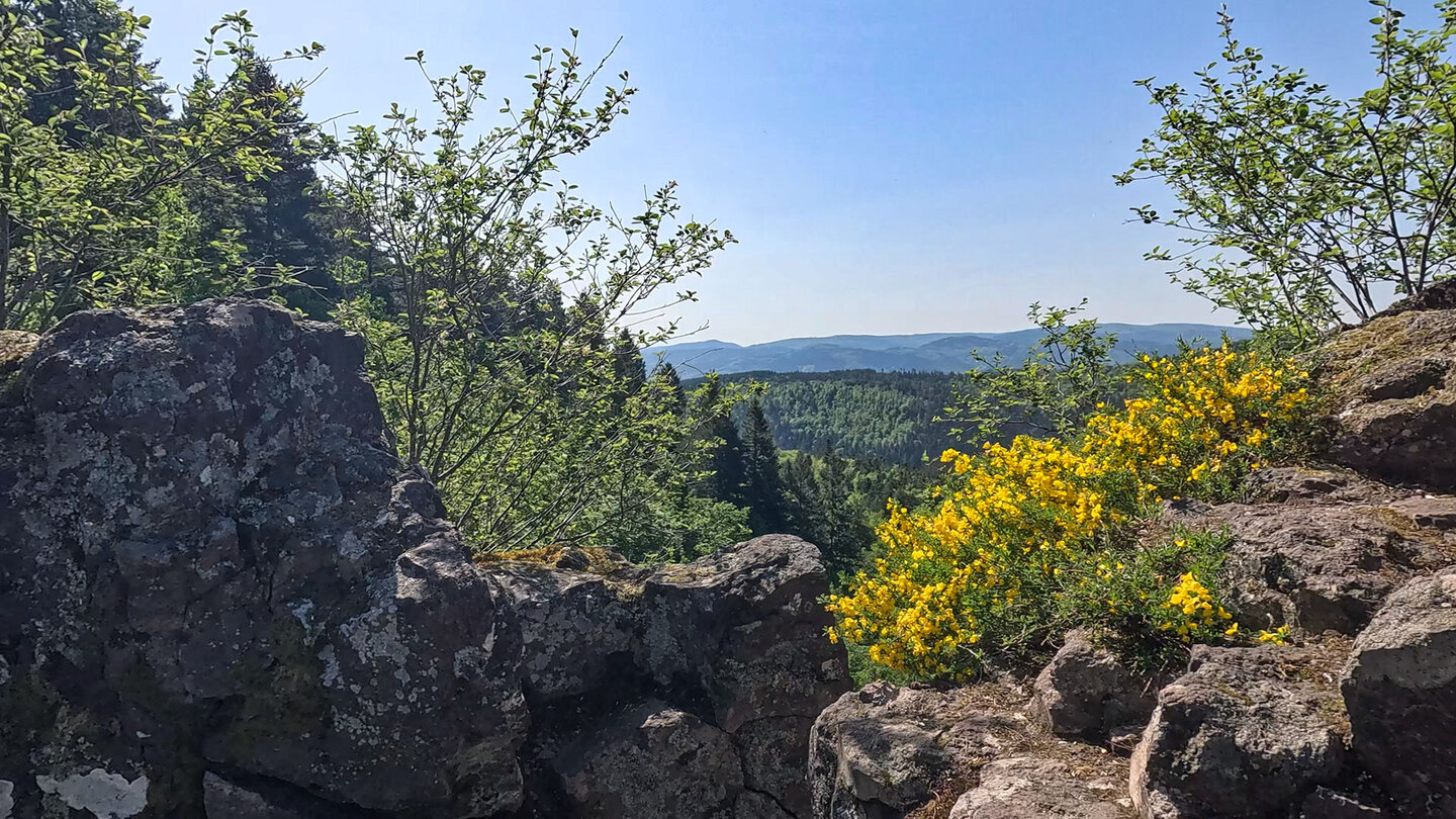 Panorama vom Rocher Hirschfels