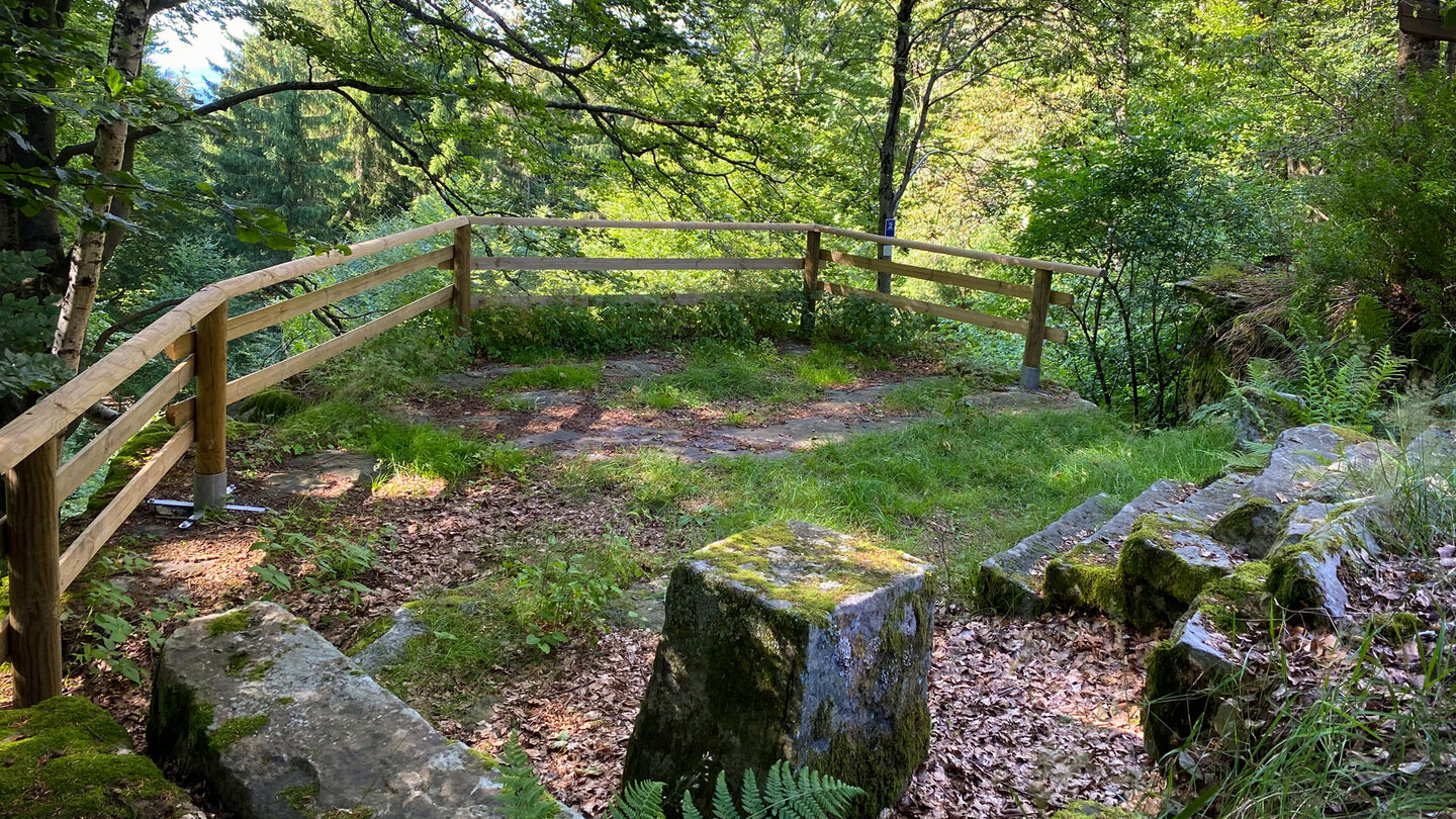 am Jagdhaus Hohe Kammer am Jagdhaus Hohe Kammer