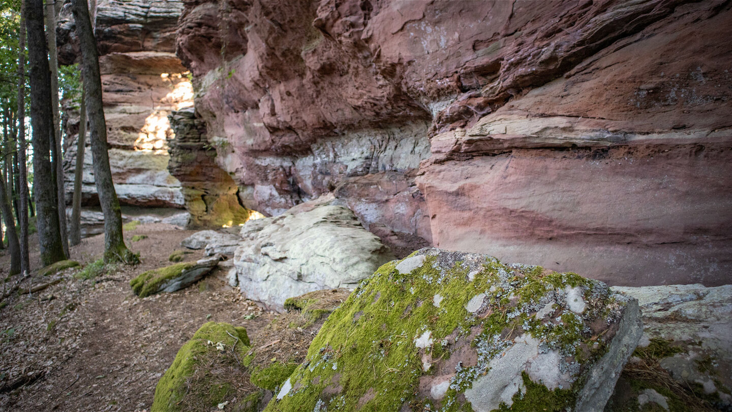 Blick über bemooste Felsen entlang des Sandsteinriffs der Buhlsteine