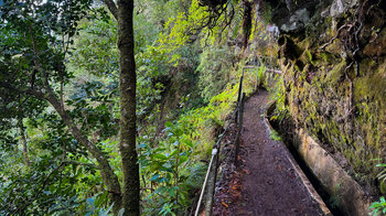 der schmale Wasserkanal Levada do Furado schlängelt sich durch den Lorbeerwald