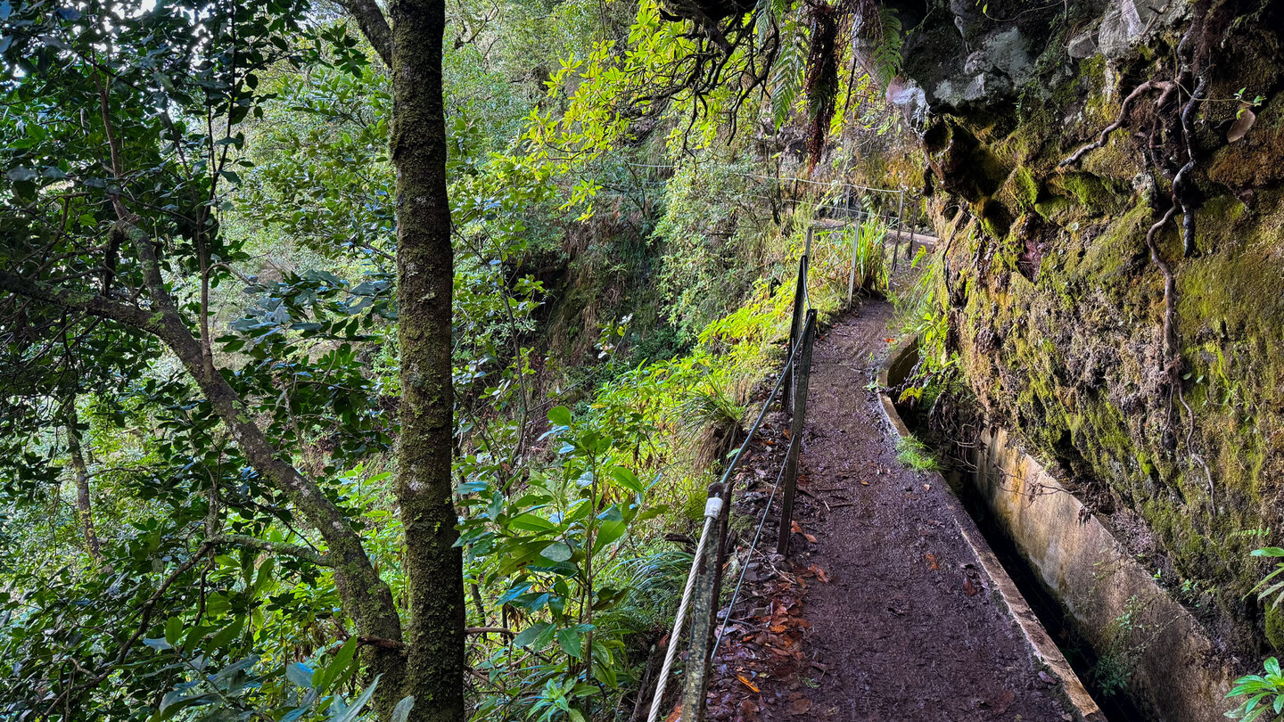 der schmale Wasserkanal Levada do Furado schlängelt sich durch den Lorbeerwald auf Madeira der schmale Wasserkanal Levada do Furado schlängelt sich durch den Lorbeerwald