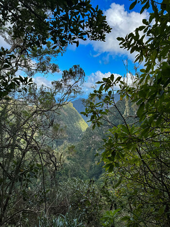 Blick über die bewaldeten Täler an der Levada do Furado