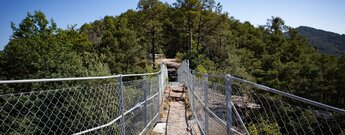 Gesicherter schmaler Steg mit Metallgeländer auf dem Felsgrat des Hahnfelsens, dahinter lichter Kiefernwald und ein bewaldeter Bergrücken unter blauem Himmel