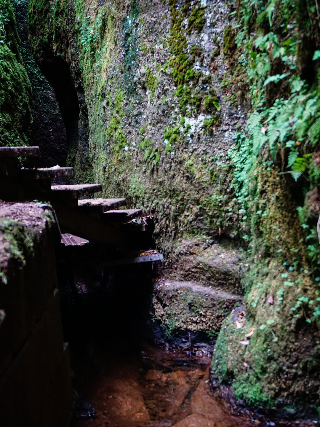 Stege und Treppen in der Schlucht Stege und Treppen in der Schlucht