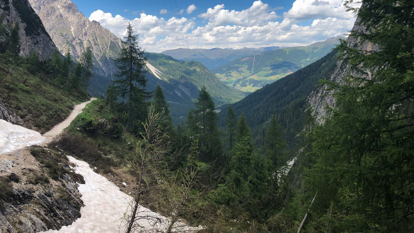 Altschneefeld am Wanderweg