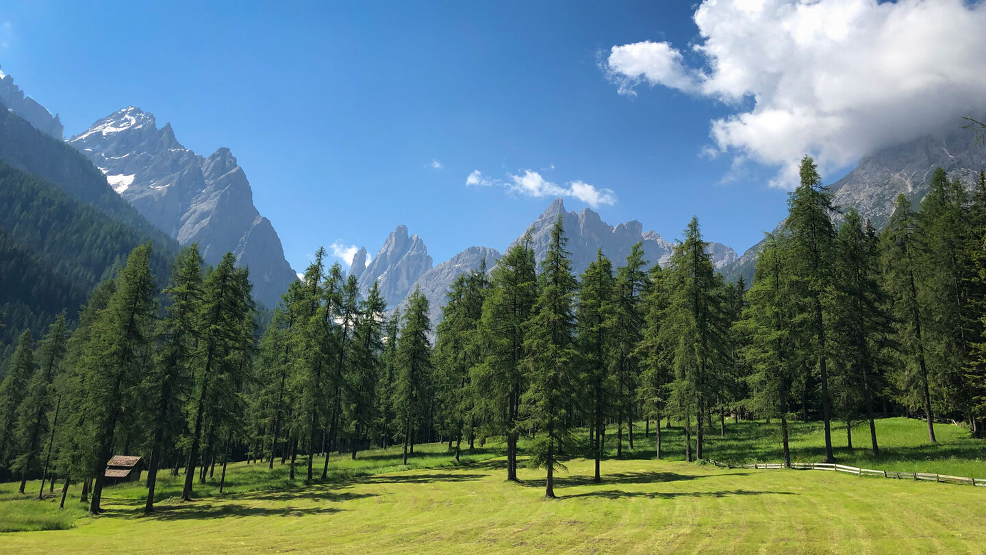 Lärchenwälder vor der Sextner Sonnenuhr