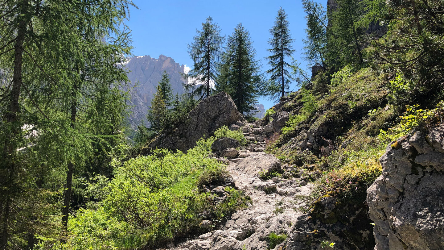 Bergwanderweg zur Zsigmondyhütte