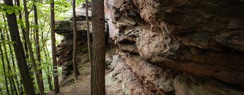 Das Buntsandsteinriff des Sorgenbergmassivs.