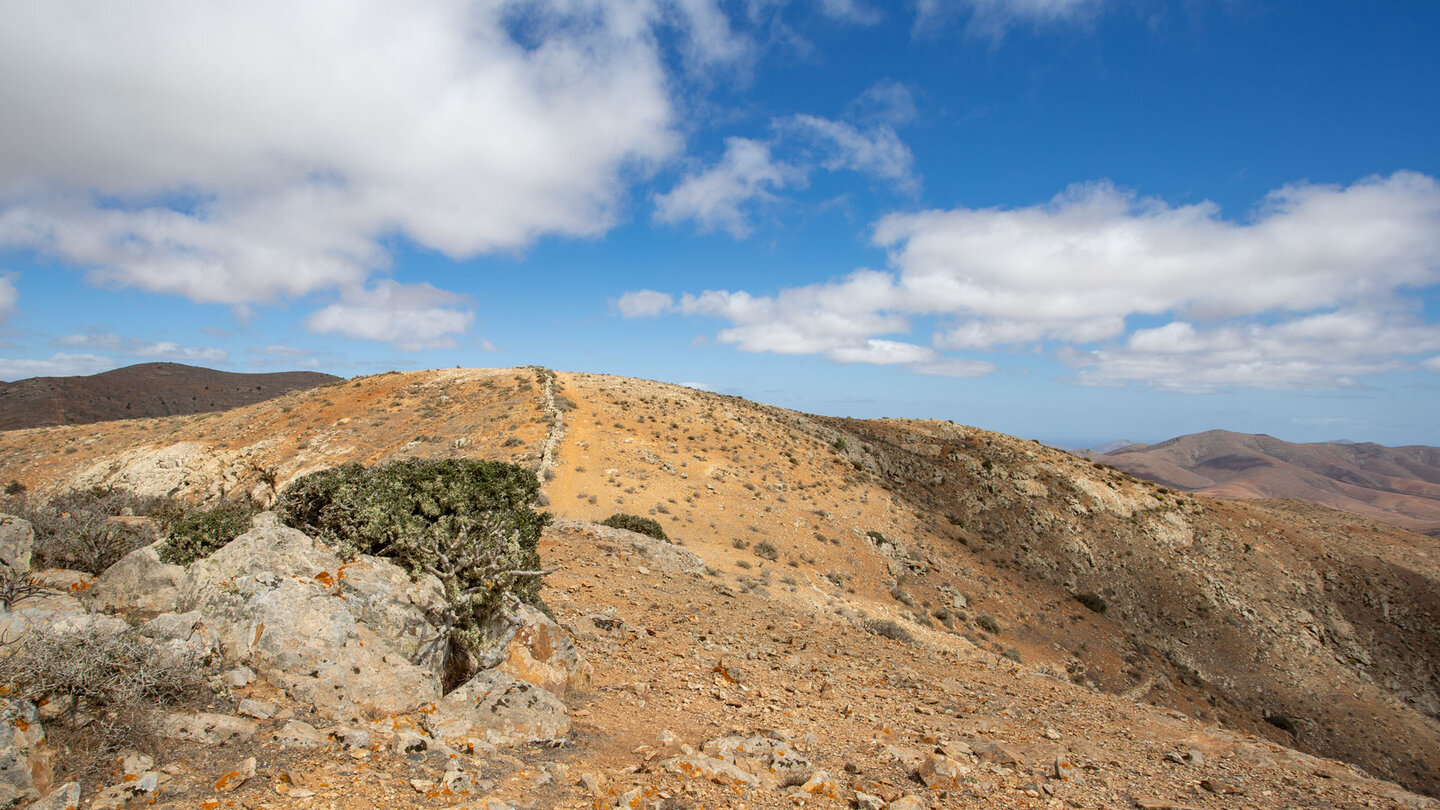 der Wanderpfad führt entlang einer Steinmauer über den Bergrücken