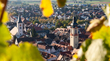 Ausblick auf Schriesheim
