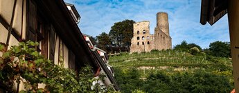 die Strahlenburg von der Schriesheimer Altstadt