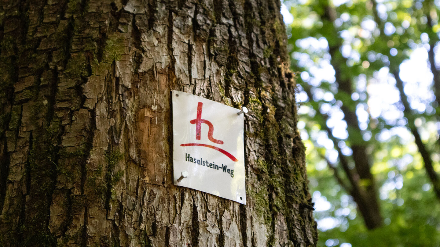 Markierung der Haselstein-Tour
