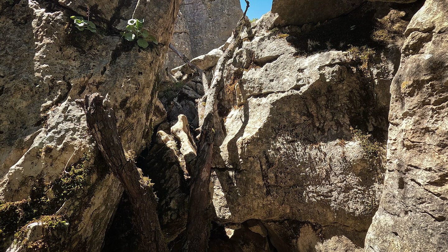 Felsschlucht im El Torcal de Antequera Felsschlucht im El Torcal de Antequera