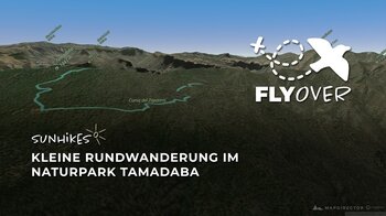 Im Herzen des Kiefernwaldes: Die Gipfel-Rundtour im Tamadaba-Massiv als Flyover Video