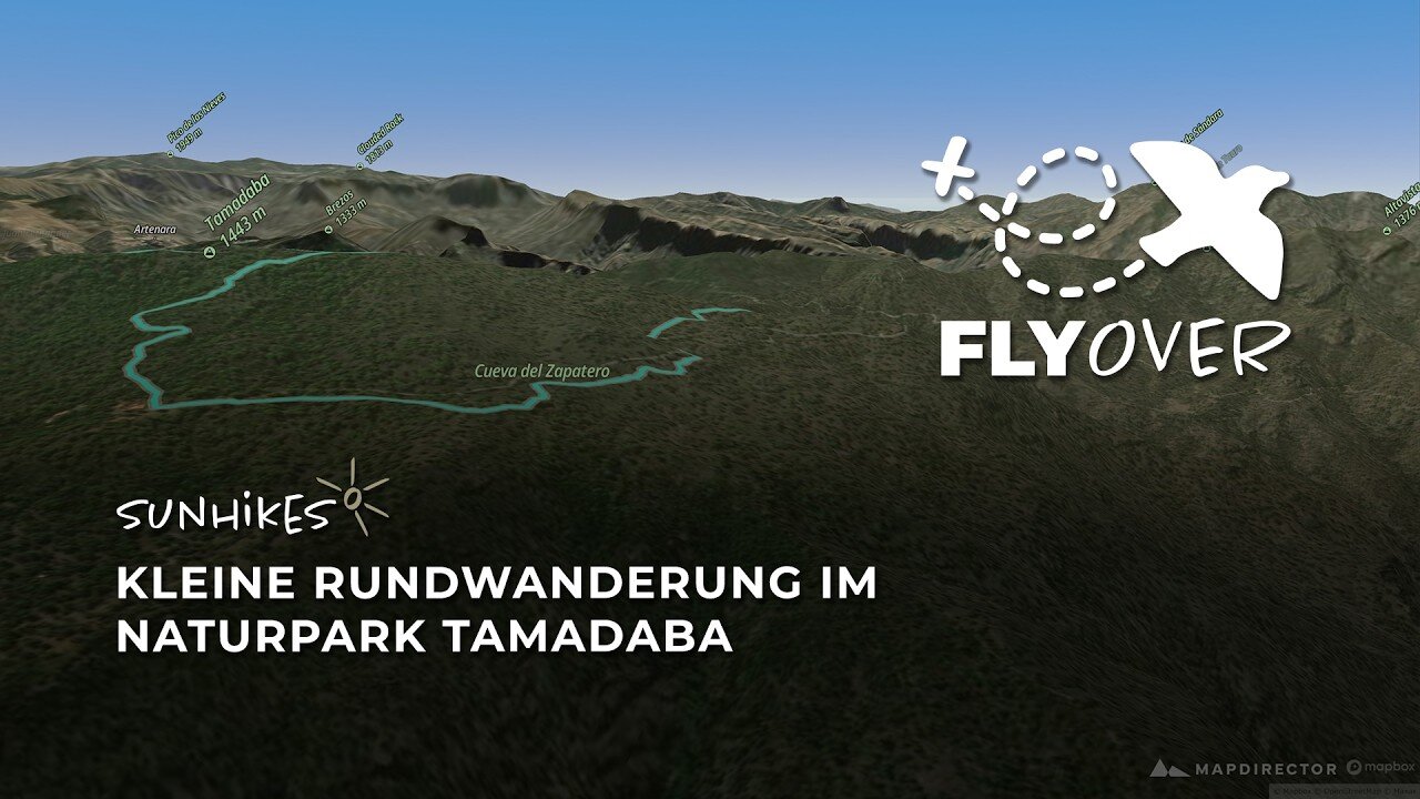 Im Herzen des Kiefernwaldes: Die Gipfel-Rundtour im Tamadaba-Massiv als Flyover Video