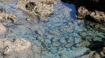 kristallklares Wasser in den Lavabecken zwischen den Sandbuchten an den Playas de Órzola auf Lanzarote