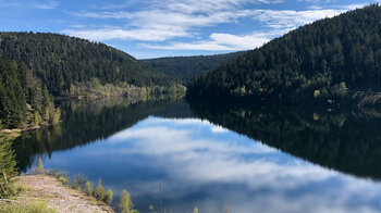 Blick über das Wasser an der Talsperre Kleine Kinzig