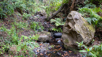 Bachlauf im Barranco del Rejo