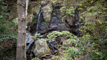 schmaler Wasserfall an einer Felswand im Barranco del Rejo