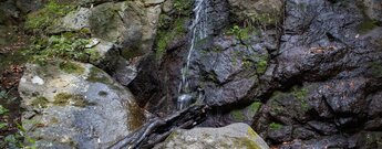 ein kleiner Wasserfall fließt über eine Felsformation