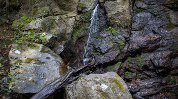 ein kleiner Wasserfall fließt über eine Felsformation