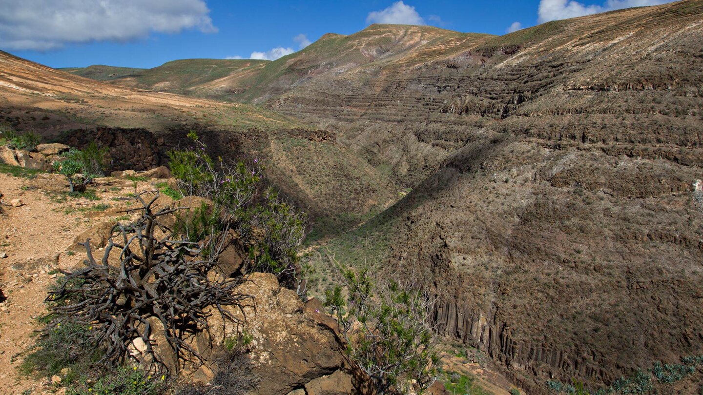 Blick über den tiefen und weiten Einschnitt des Barranco de Tenegüime auf Lanzarote