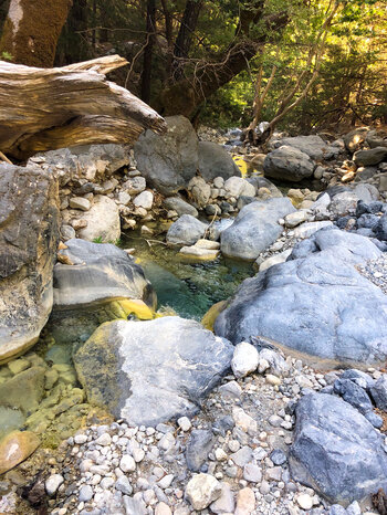 Bachlauf an der oberen Schlucht
