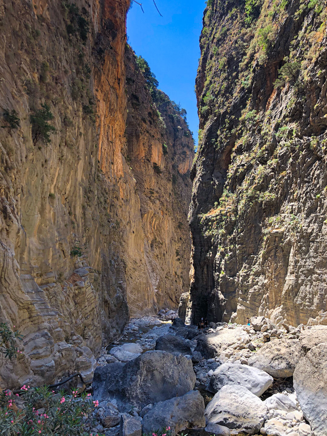 Samaria-Schlucht– Kretas berühmtestes Naturwunder