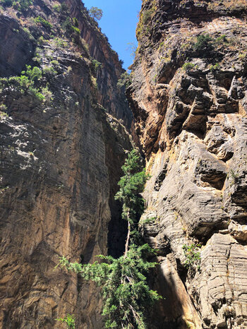 Canyons zweigen von der Samaria Schlucht ab