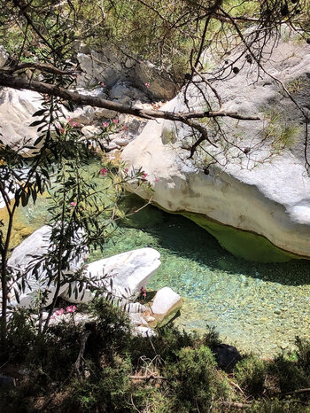 klares Wasser in der Samaria Schlucht
