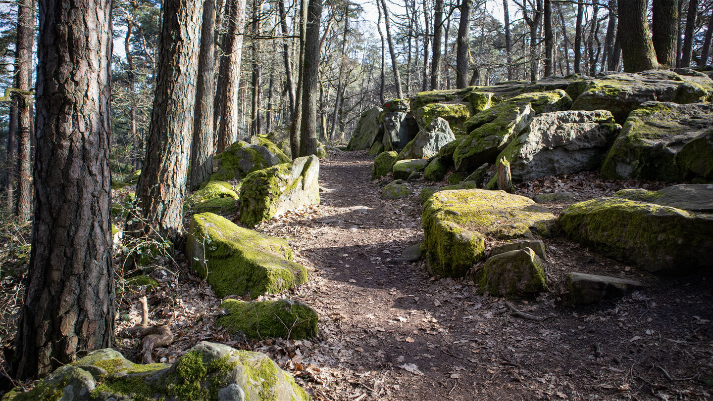 Wanderweg zur Hohen Loog durchs Felsenmeer