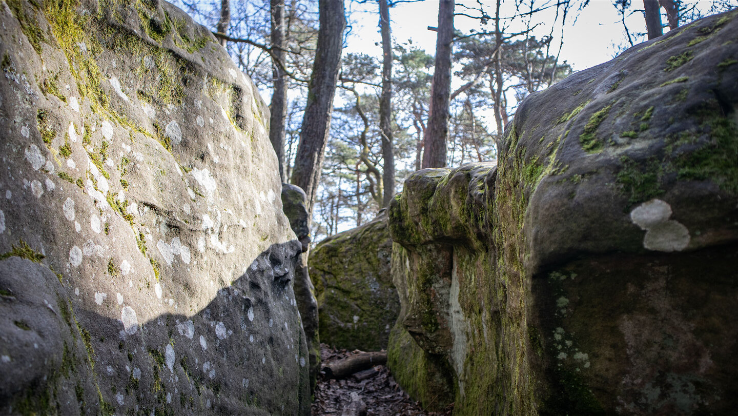 Spalten im Felsenmeer am Zwergberg