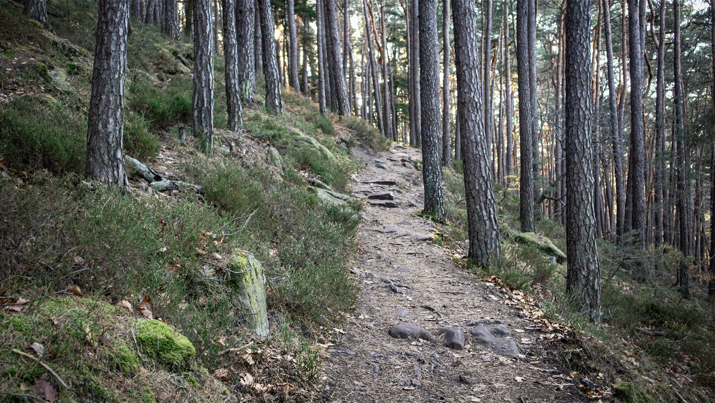 Wanderweg vom Hüttenhohl zum Felsenmeer