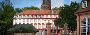 Schloss Erbach im Odenwald