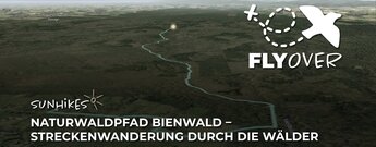 Naturwaldpfad Bienwald bei Büchelberg in der Südpfalz – Flyover