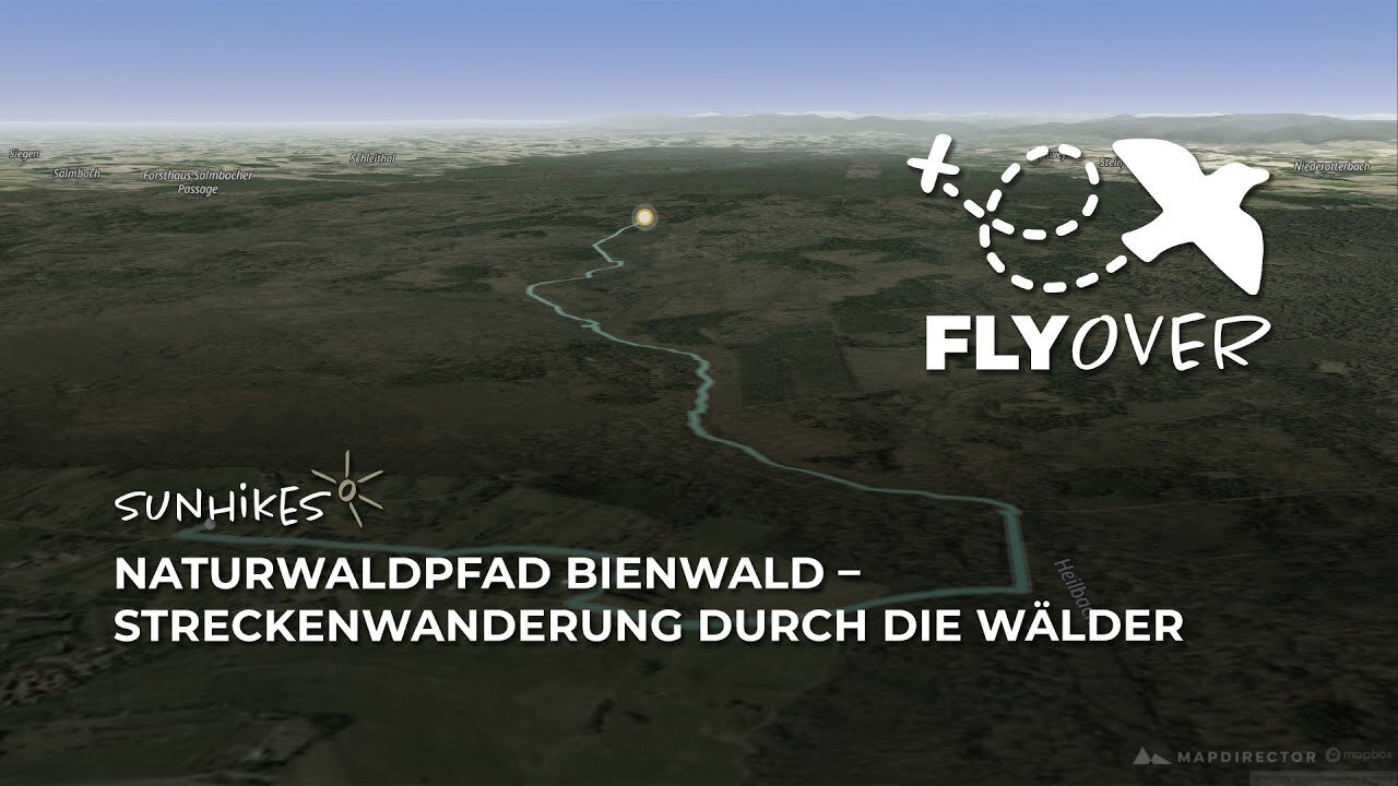 Naturwaldpfad Bienwald bei Büchelberg in der Südpfalz – Flyover