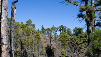 Berggipfel im Tamadaba-Naturpark