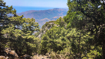 Panorama von den Weissen Bergen bis zum Mittelmeer