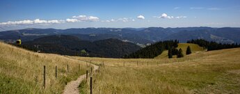 die Aufstiegsroute bietet nach durchsteigen des Waldes wunderschöne Aussicht