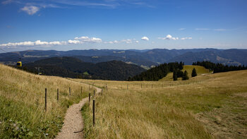 die Aufstiegsroute bietet nach durchsteigen des Waldes wunderschöne Aussicht